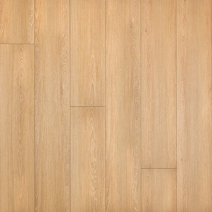 MSI Everlife Rigid Core XL Cyrus Valleyview Grove 9" x 60" Luxury Vinyl Plank (22.44 SF/Box)