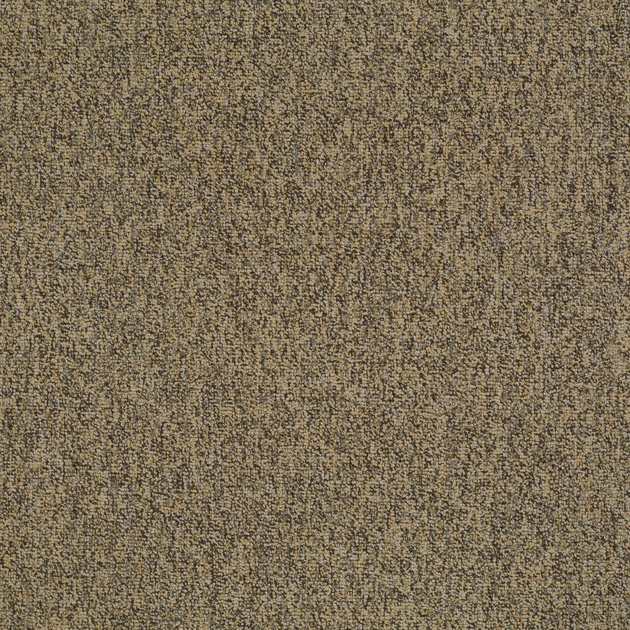 Philadelphia Mainstreet Multiplicity 24X24 54594-00200 Abundance 24" x 24" Carpet Tile (48 SF/Box)