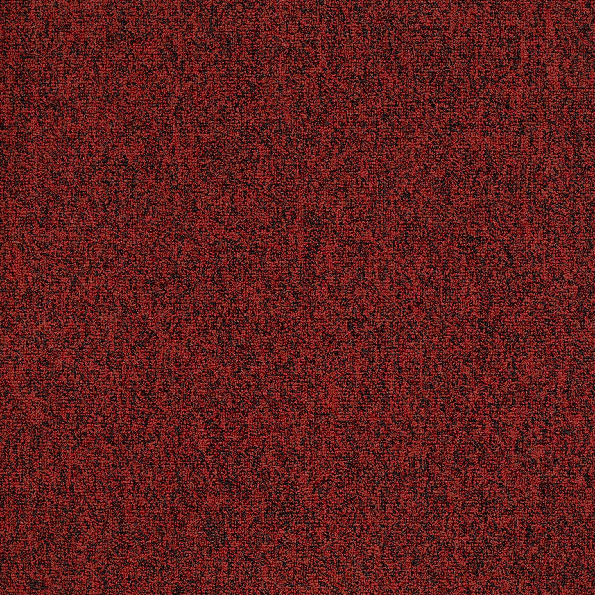 Philadelphia Mainstreet Multiplicity 24X24 54594-00810 Fortune 24" x 24" Carpet Tile (48 SF/Box)