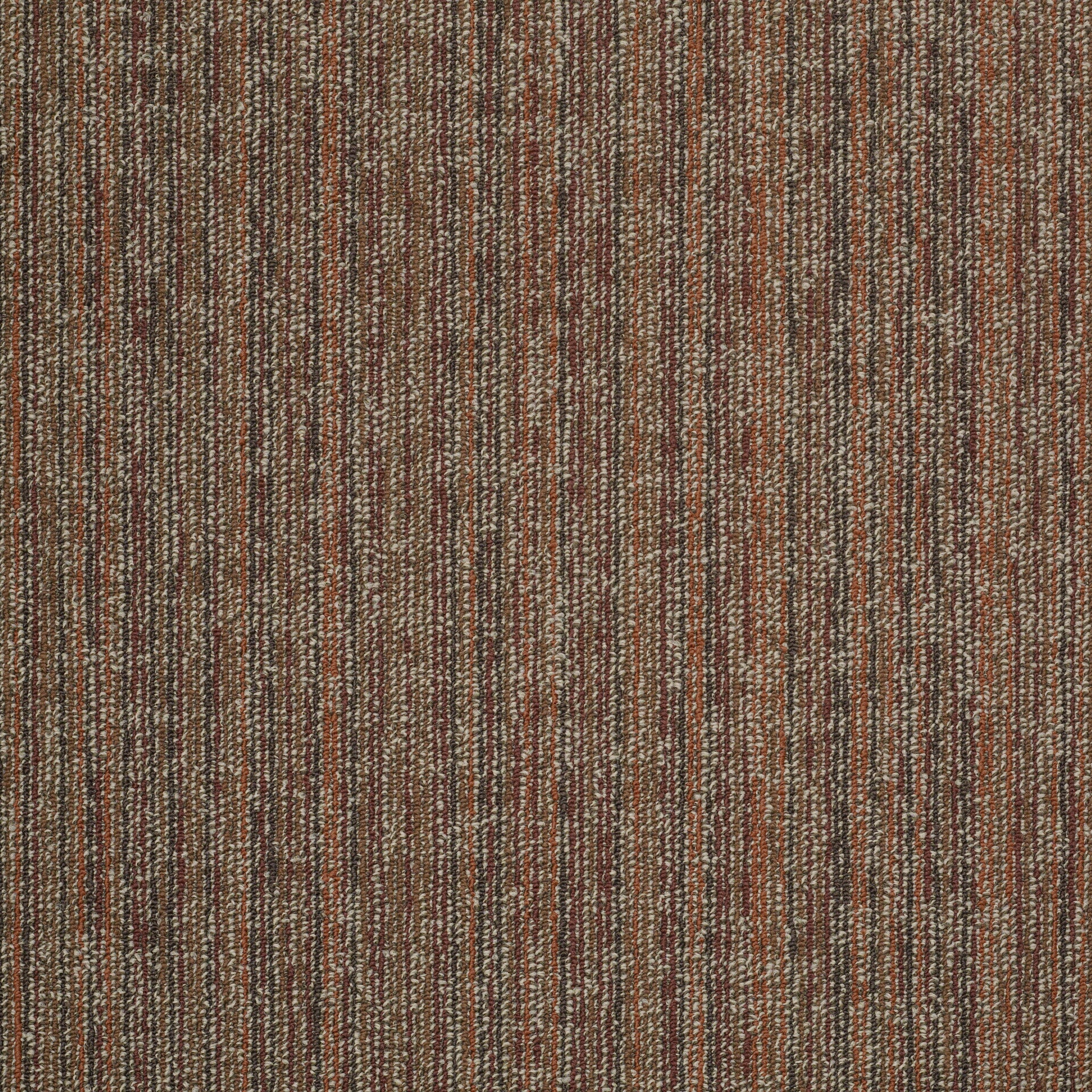 Philadelphia Commercial Mystify 54589-00800 Shock 24" x 24" Carpet Tile