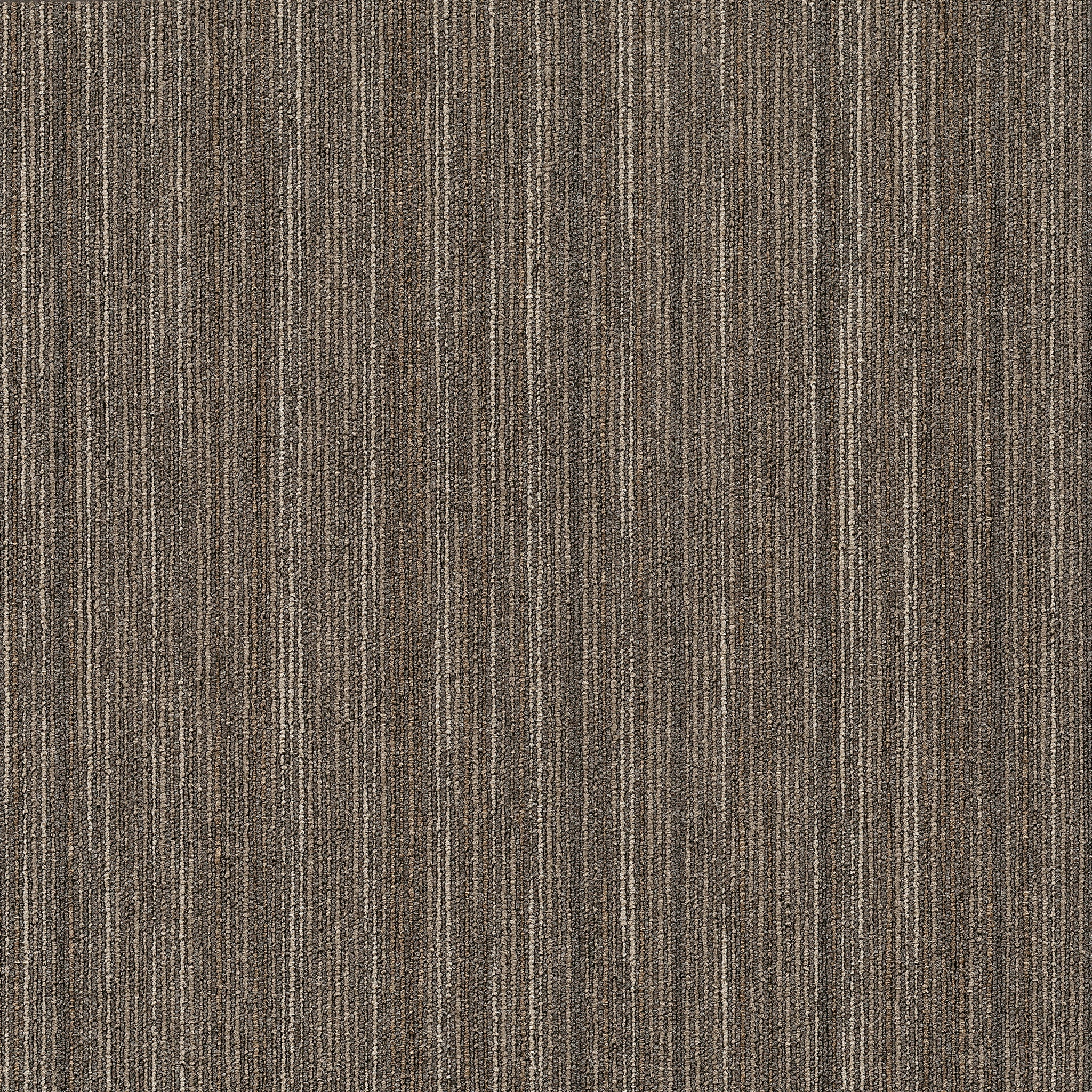 Philadelphia Commercial Praise 54882-82710 Smarts 24" x 24" Carpet Tile