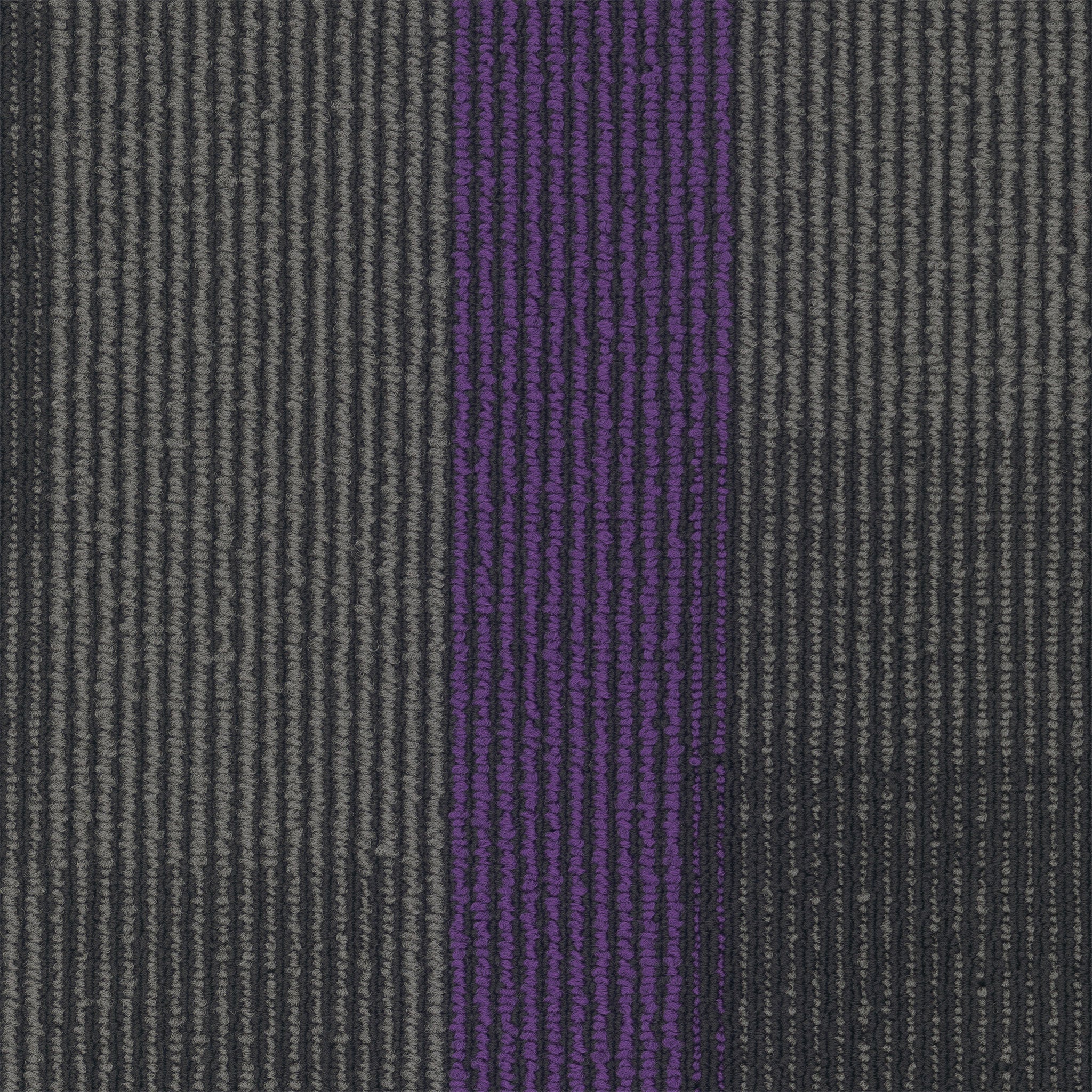 Pentz Carpet Magnify Plank 7054P-3136 Royal Purple 12 X 48