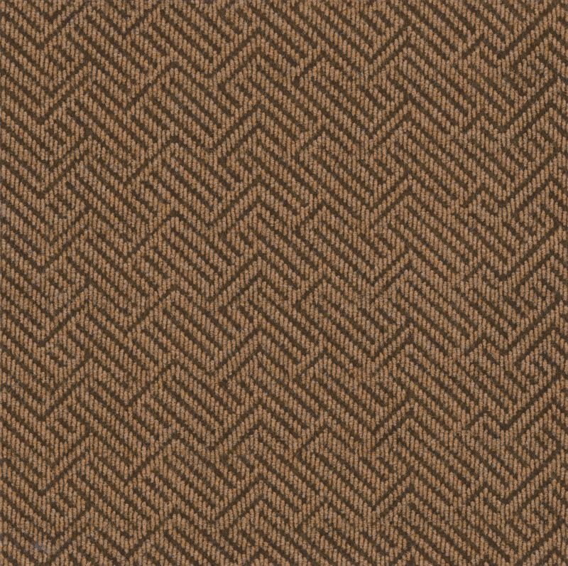 Philadelphia Tread On Me 54749-00701 Mesa Brown 24" x 24" Carpet Tile (48 SF/Box)