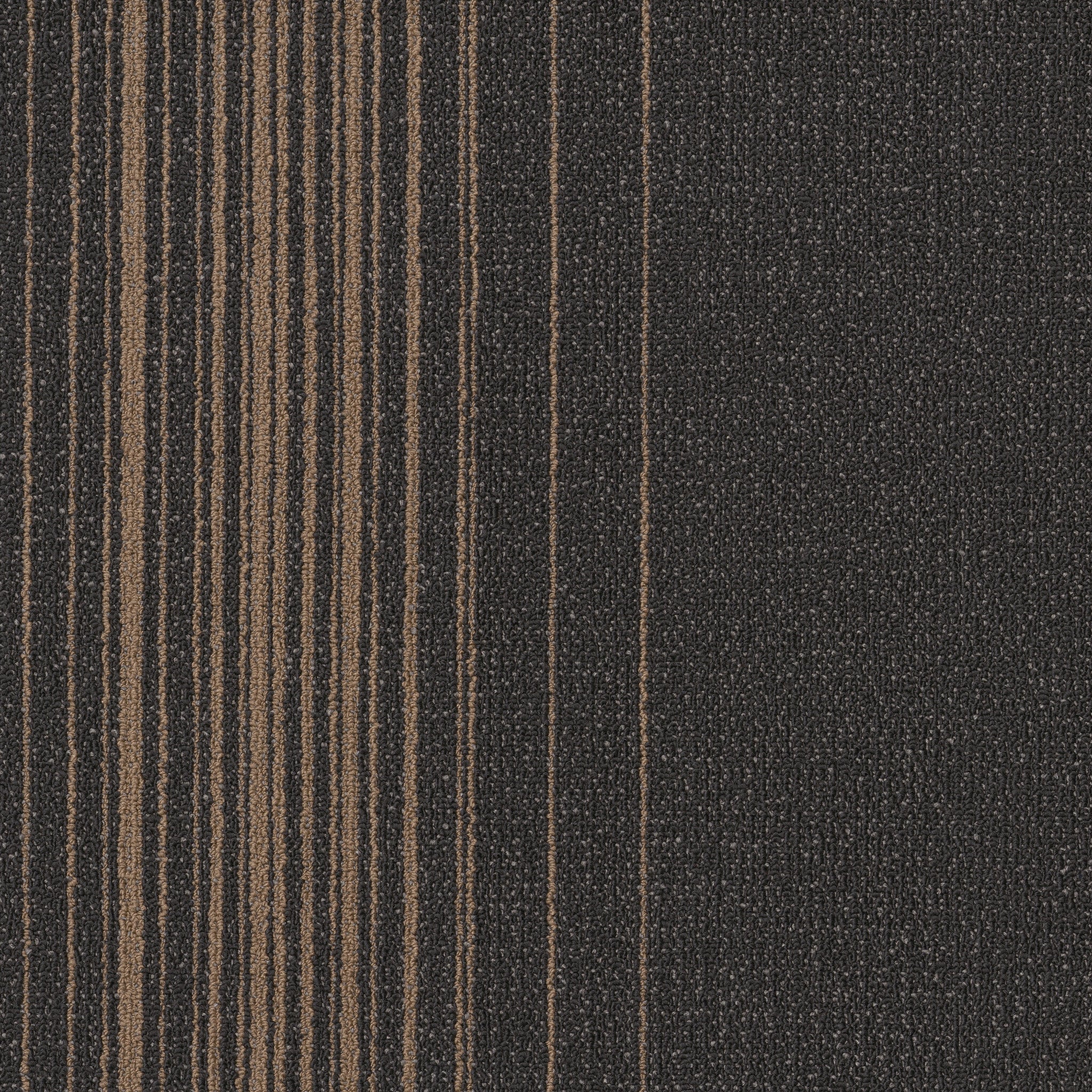 Philadelphia Commercial Realign 54971-00510 Modify 24" x 24" Carpet Tile