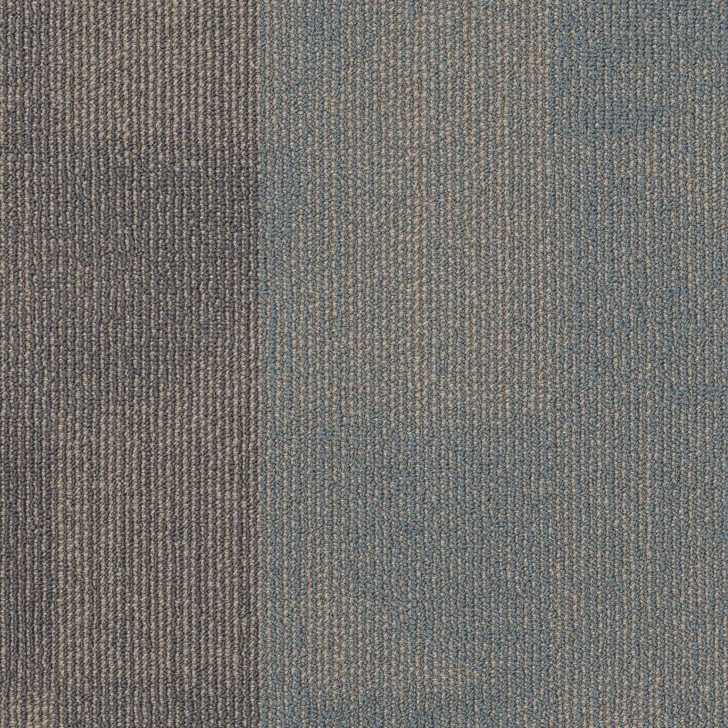 Philadelphia Commercial Reset 55006-00400 Balance 18" x 36" Carpet Tile