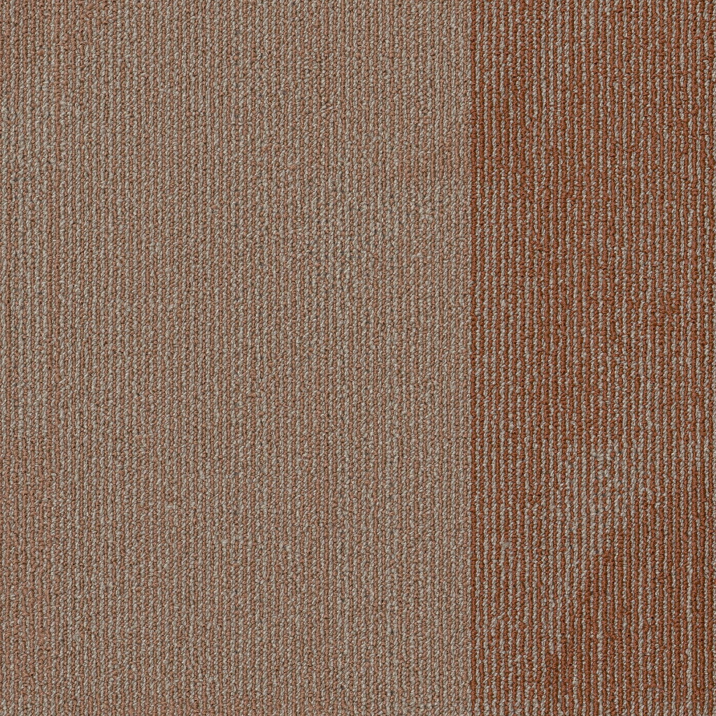 Philadelphia Commercial Reset 55006-00600 Invent 18" x 36" Carpet Tile