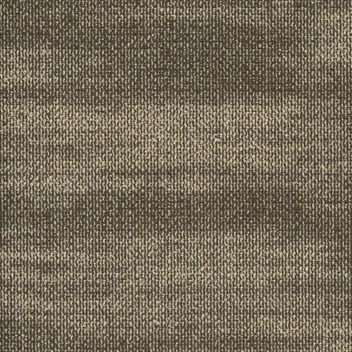 Philadelphia Commercial Ridges 54834-34205 Aragonite 18" x 36" Carpet Tile