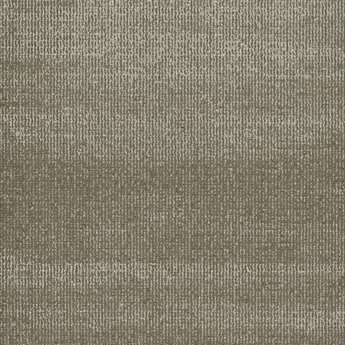 Philadelphia Commercial Ridges 54834-34710 Petrified Wood 18" x 36" Carpet Tile