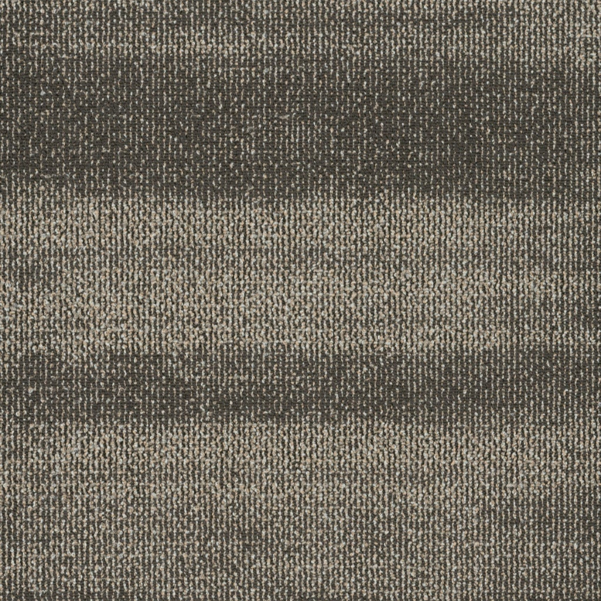 Philadelphia Commercial Ridges 54834-34705 Smoky Quartz 18" x 36" Carpet Tile