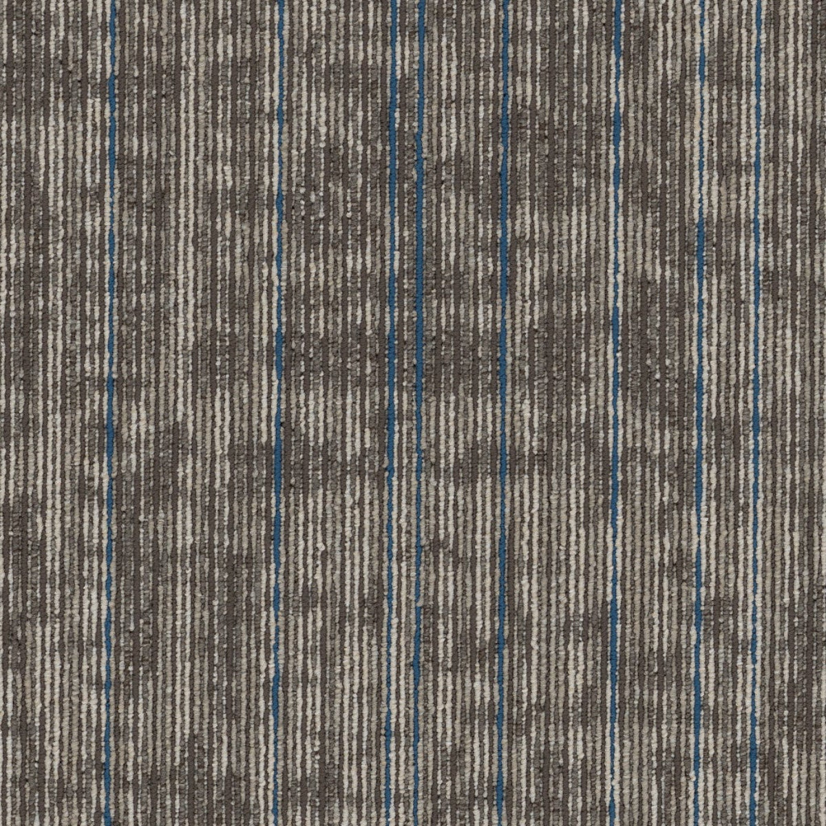 Philadelphia Mainstreet Rise Up 54997-00104 Magnify 18" x 36" Carpet Tile (63 SF/Box)