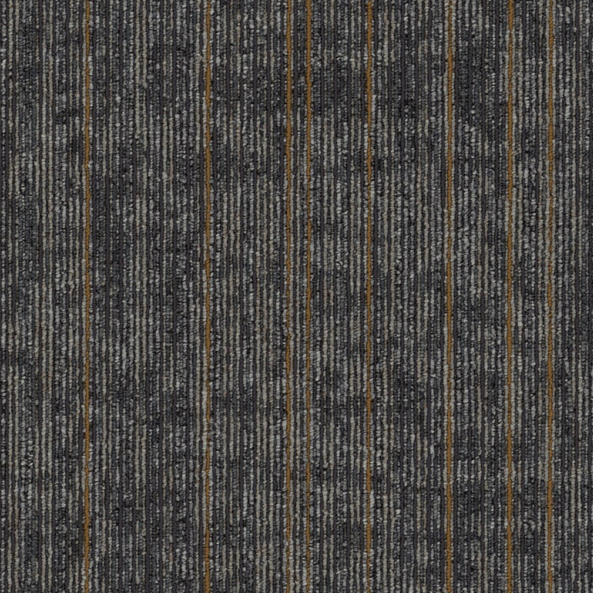 Philadelphia Commercial Rise Up 54997-00502 Persist 18" x 36" Carpet Tile