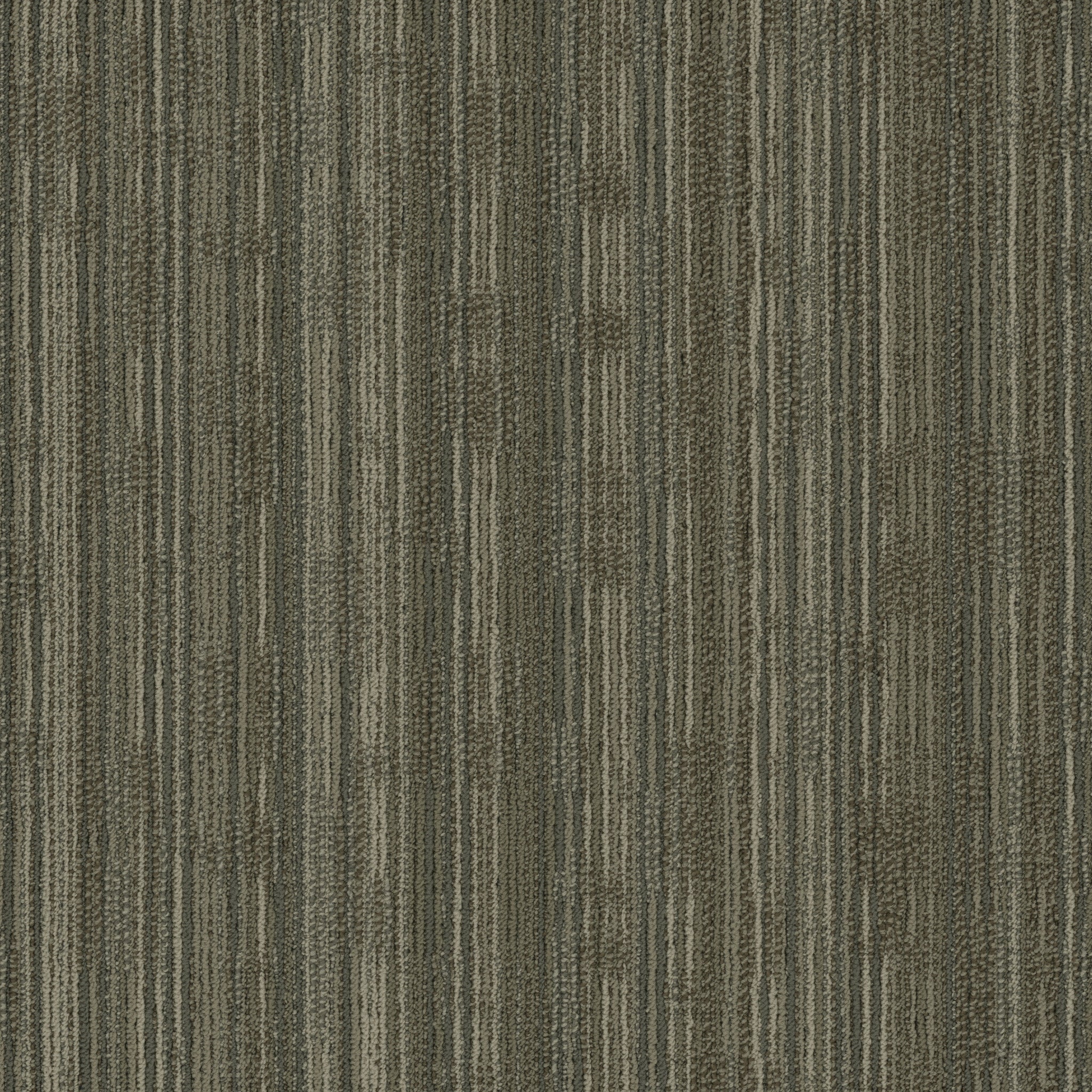 Shaw Stack 5th & Main 54920-00210 Twist 24" X 24" Carpet Tile
