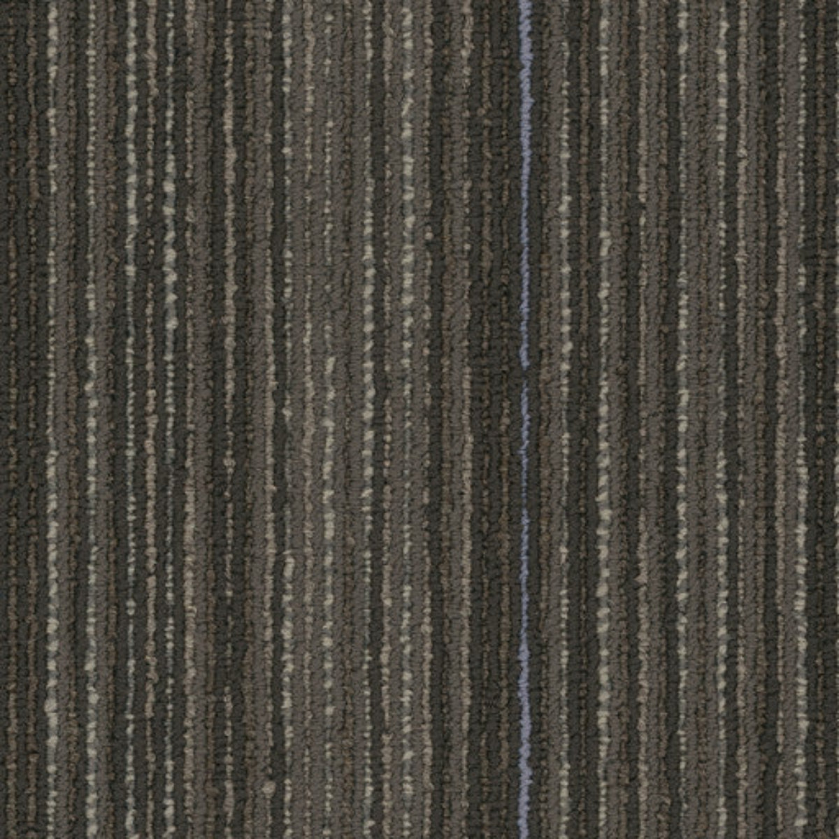 Philadelphia Commercial Stellar 54902-00705 Cutting Edge 9" x 36" Carpet Tile