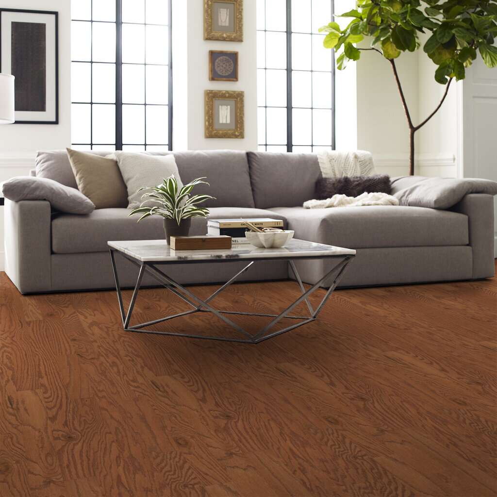 Shaw Albright Oak 3.25 Gunstock engineered hardwood flooring in a living room, where natural wood wood tones sit naturally with the furniture layout.
