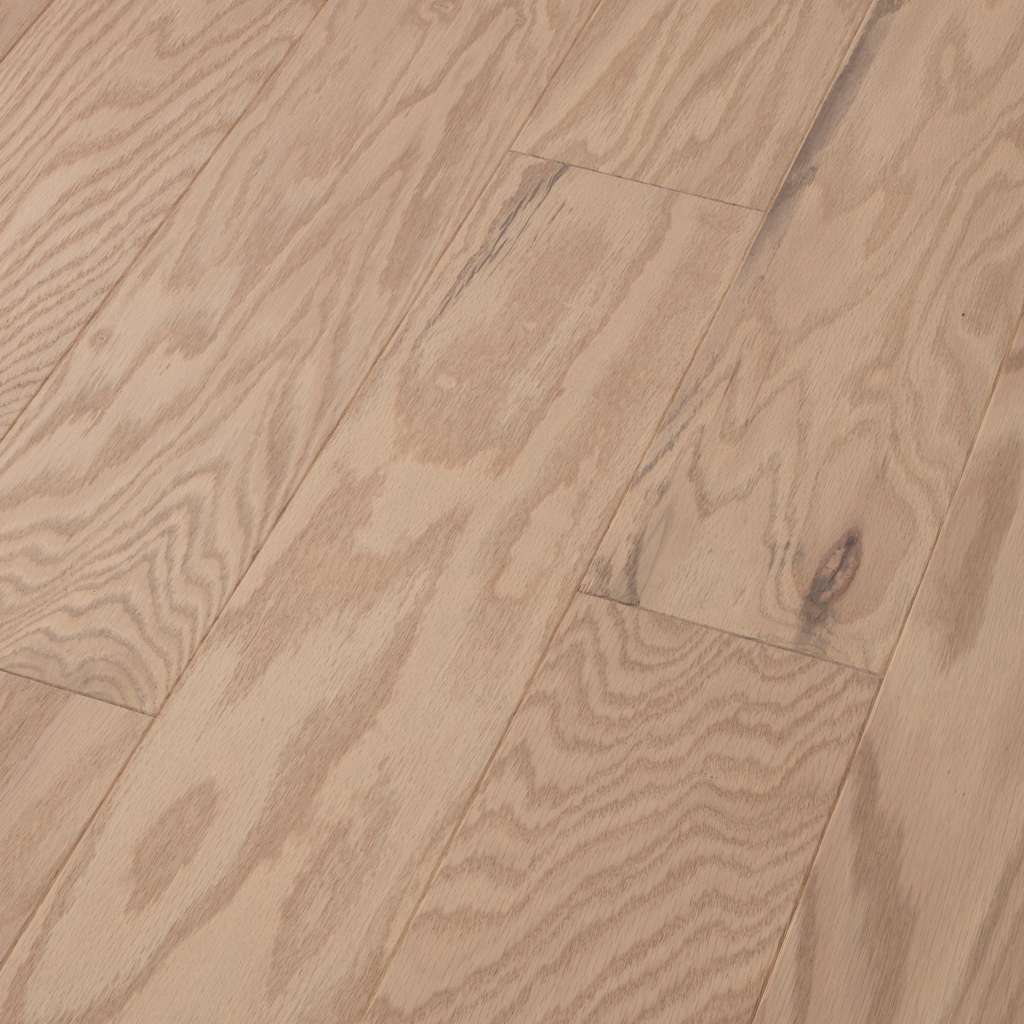 Shaw Albright Oak 5 Biscuit LG SW582-01102 5" x Multi