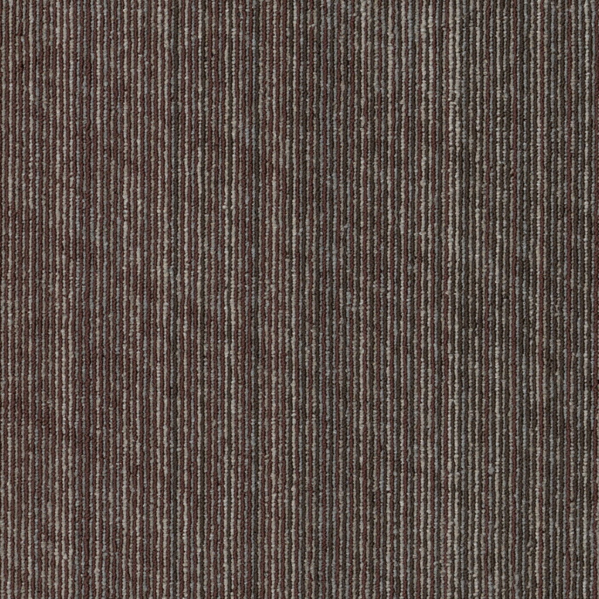 Philadelphia Commercial Vantage 54952-00706 Evolve 18" x 36" Carpet Tile
