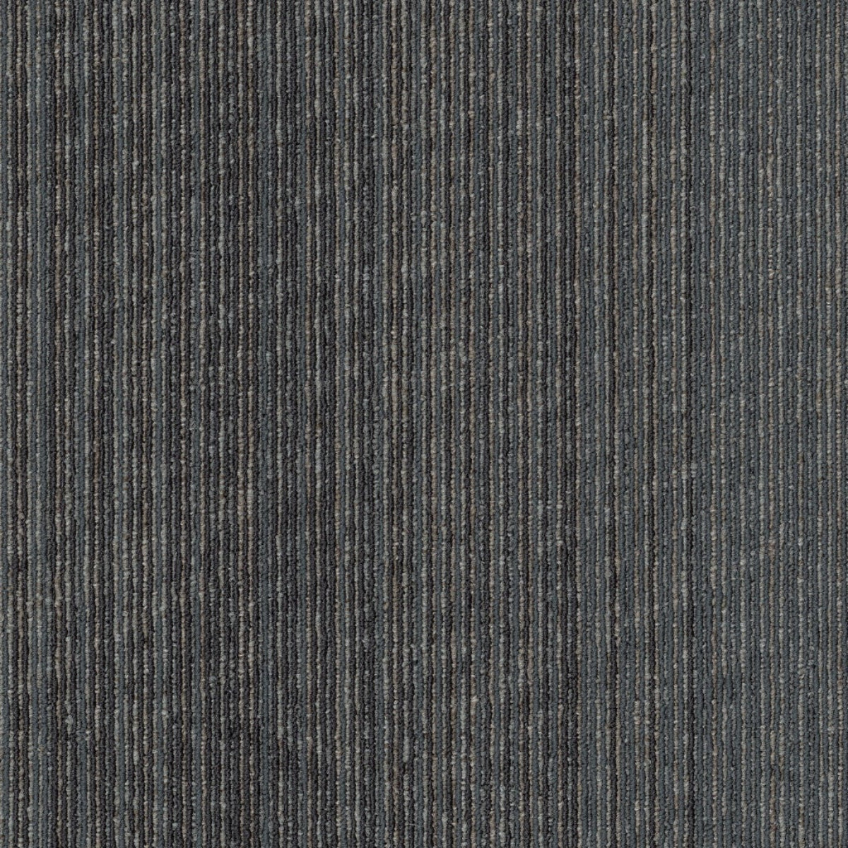 Philadelphia Commercial Vantage 54952-00502 Focus 18" x 36" Carpet Tile