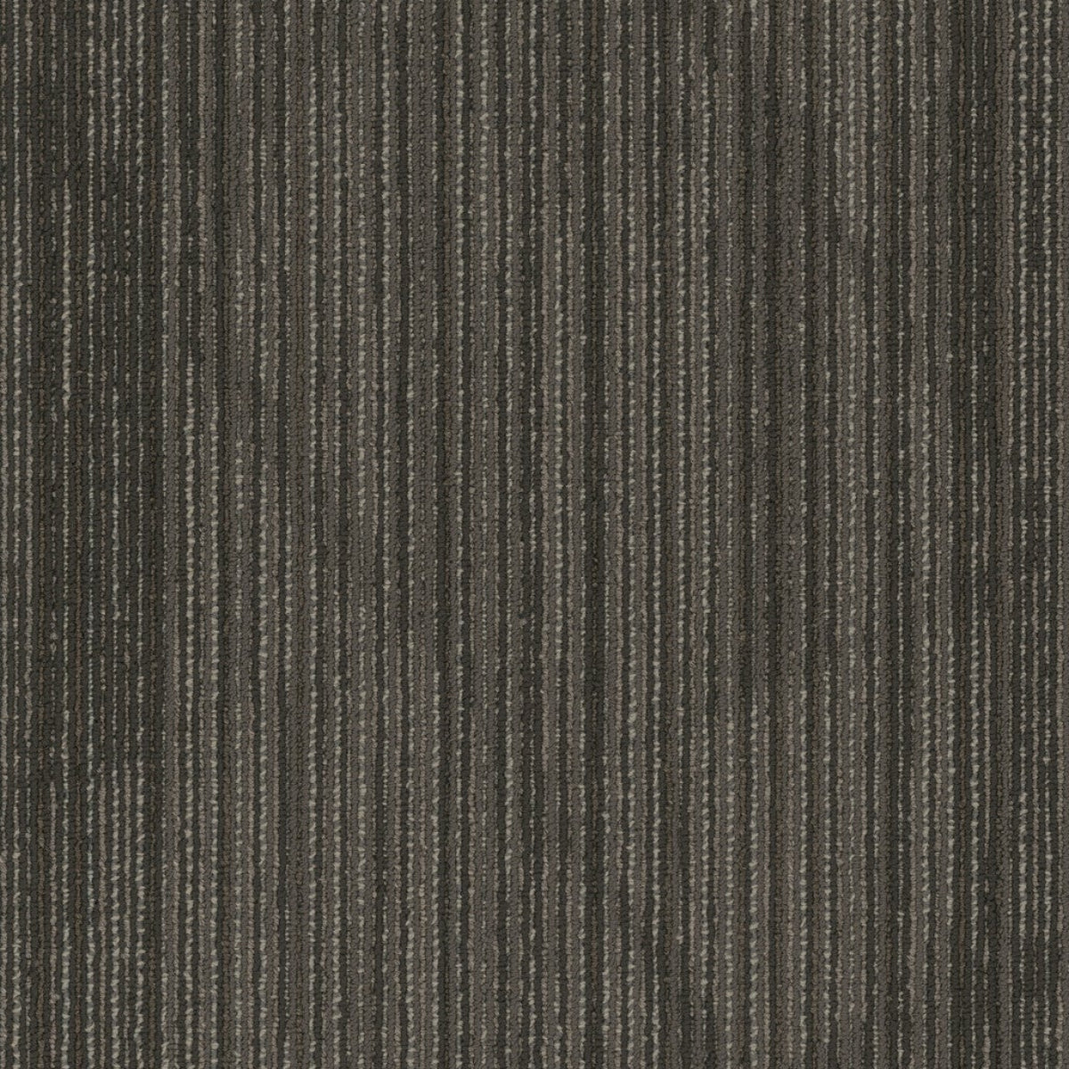 Philadelphia Commercial Visionary 54903-00705 Cutting Edge 18" x 36" Carpet Tile