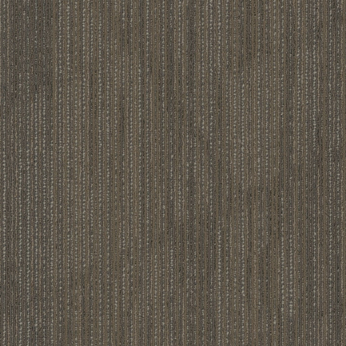 Philadelphia Commercial Visionary 54903-00700 Formative 18" x 36" Carpet Tile