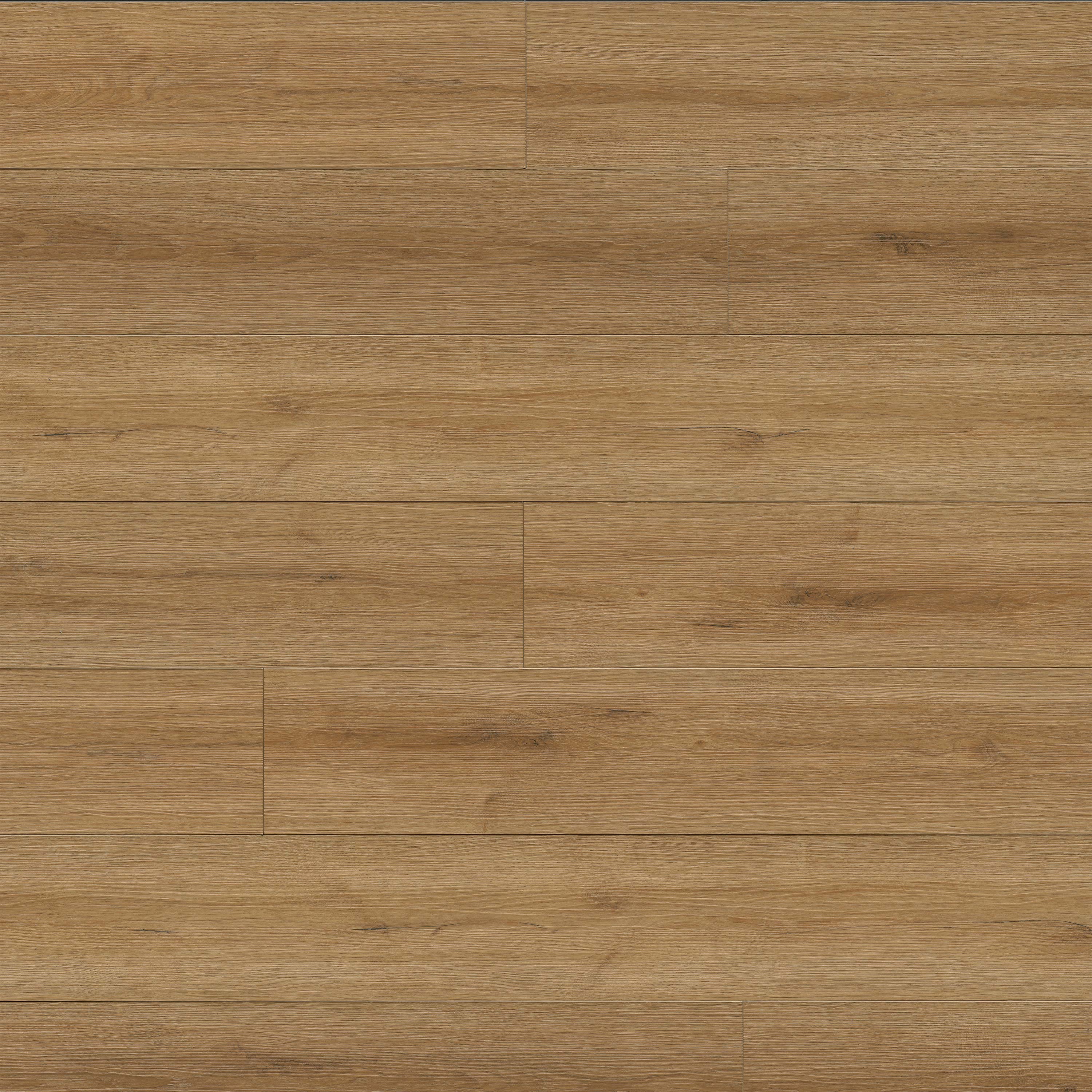 MSI Everlife XL Prescott Amber Forrester 9" x 60" Rigid Core Luxury Vinyl Plank