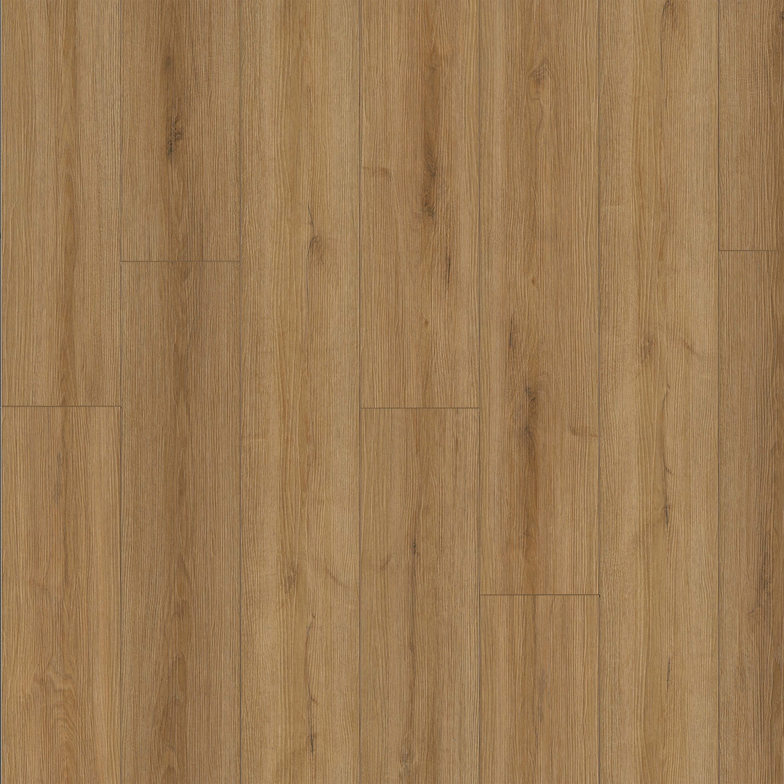 MSI Everlife XL Prescott Amber Forrester 9" x 60" Rigid Core Luxury Vinyl Plank