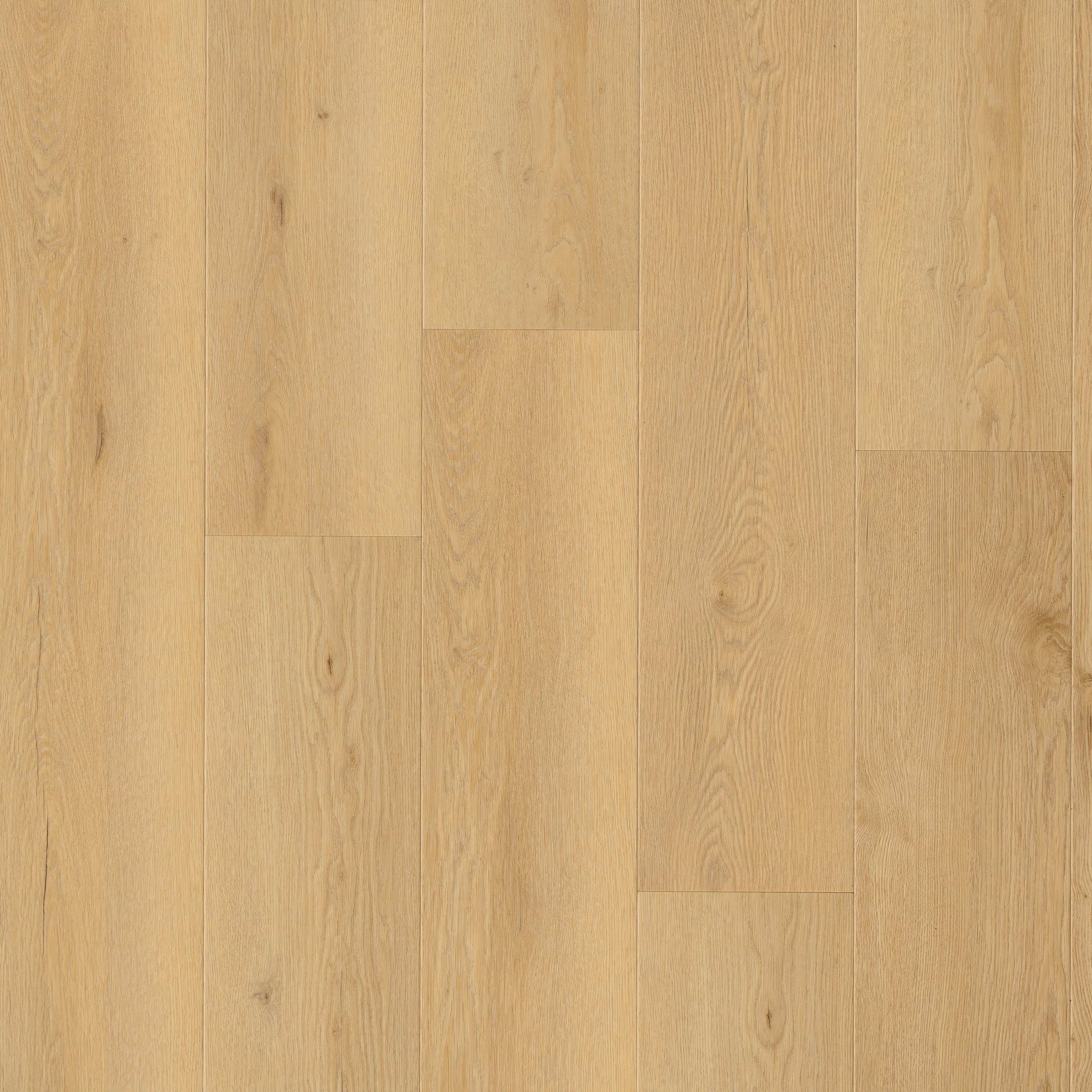 MSI Everlife Wayne Parc Reserve Bluffview 9" x 72" SPC Vinyl Plank