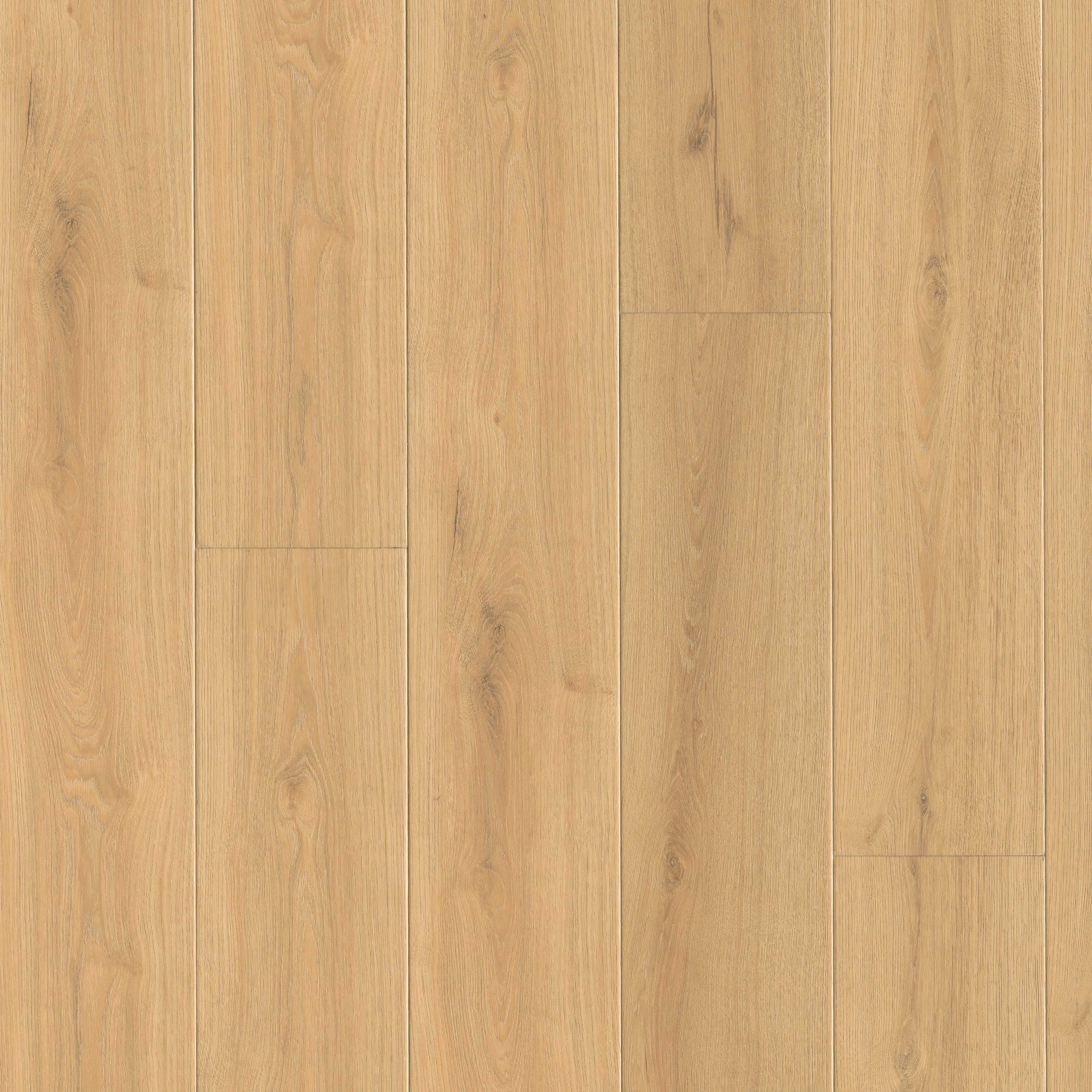 MSI Everlife Wayne Parc Elwood 9" x 60" SPC Vinyl Plank