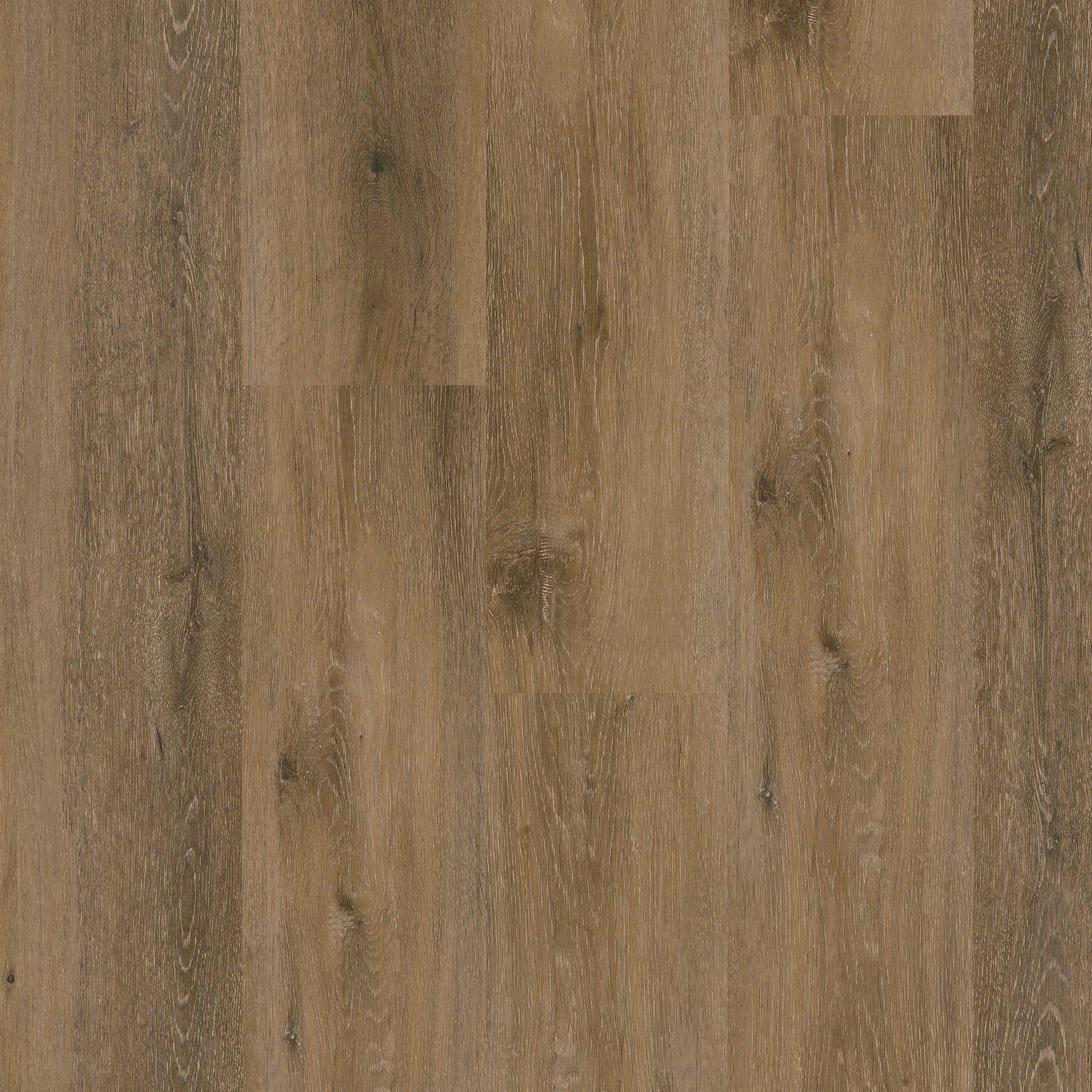MSI Everlife Nove Reserve Hatfield 9" x 48" Glue Down Vinyl Plank