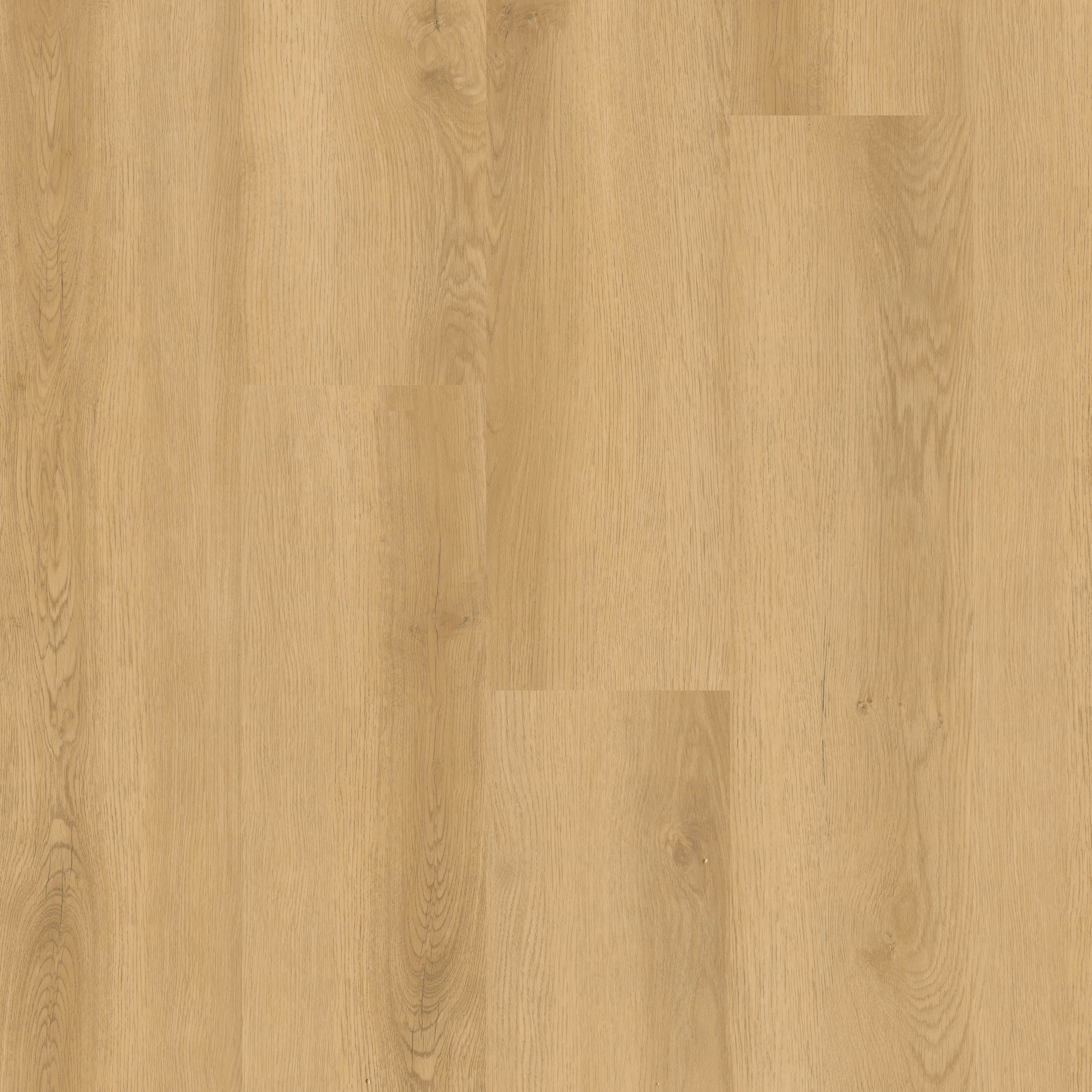 MSI Everlife Nove Plus Hyde Haven 9" x 48" Glue Down Vinyl Plank