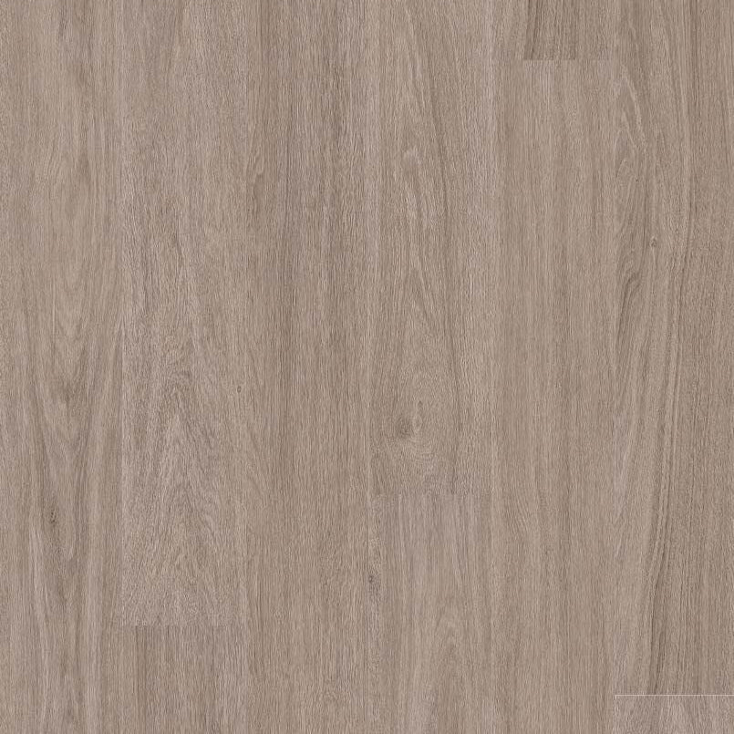 MSI Everlife Katavia Bleached Elm 6" x 48" Vinyl Plank
