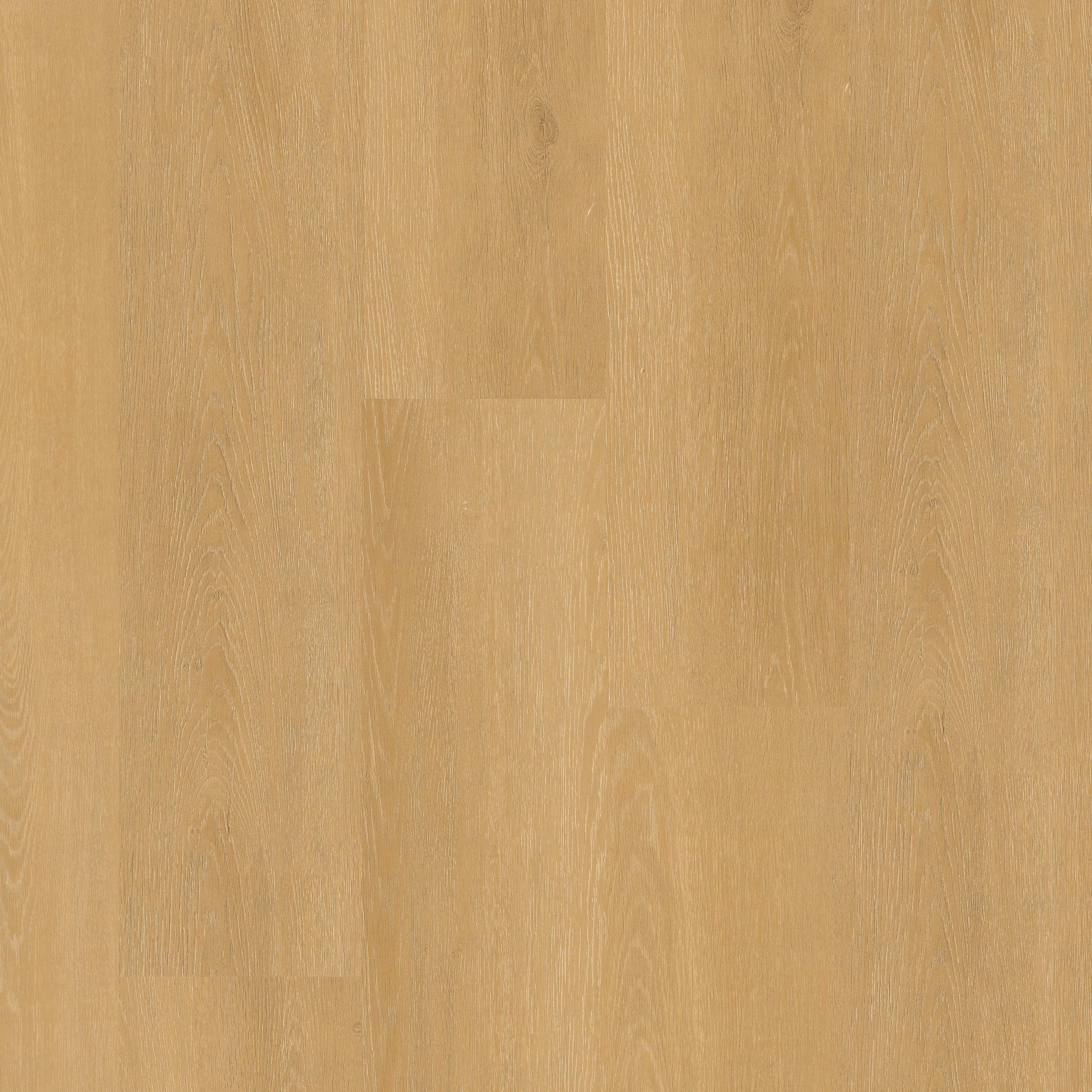MSI Everlife Nove Plus Selbourne 9" x 48" Glue Down Vinyl Plank