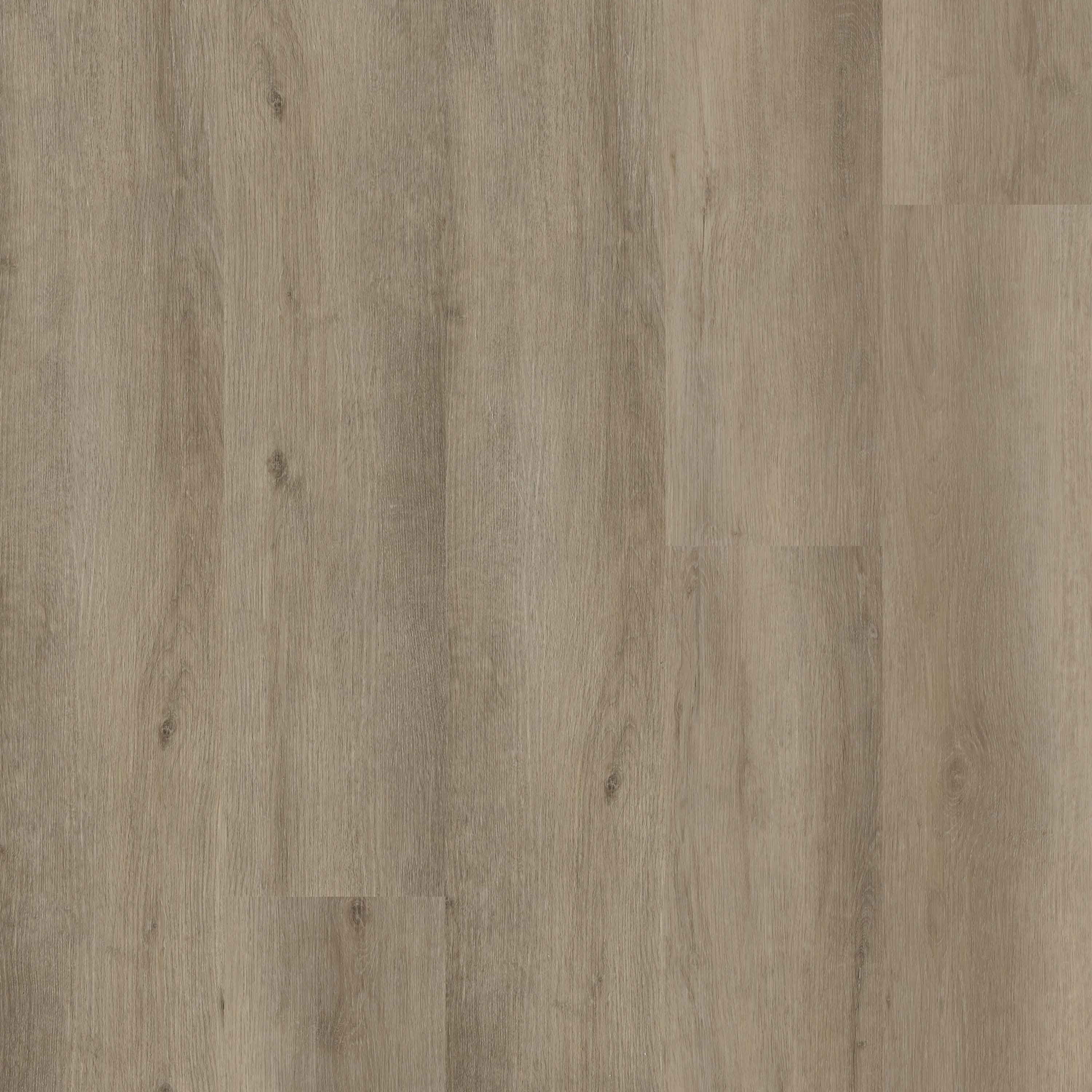 MSI Everlife Studio Lark 9" x 48" Rigid Core Floating LVT
