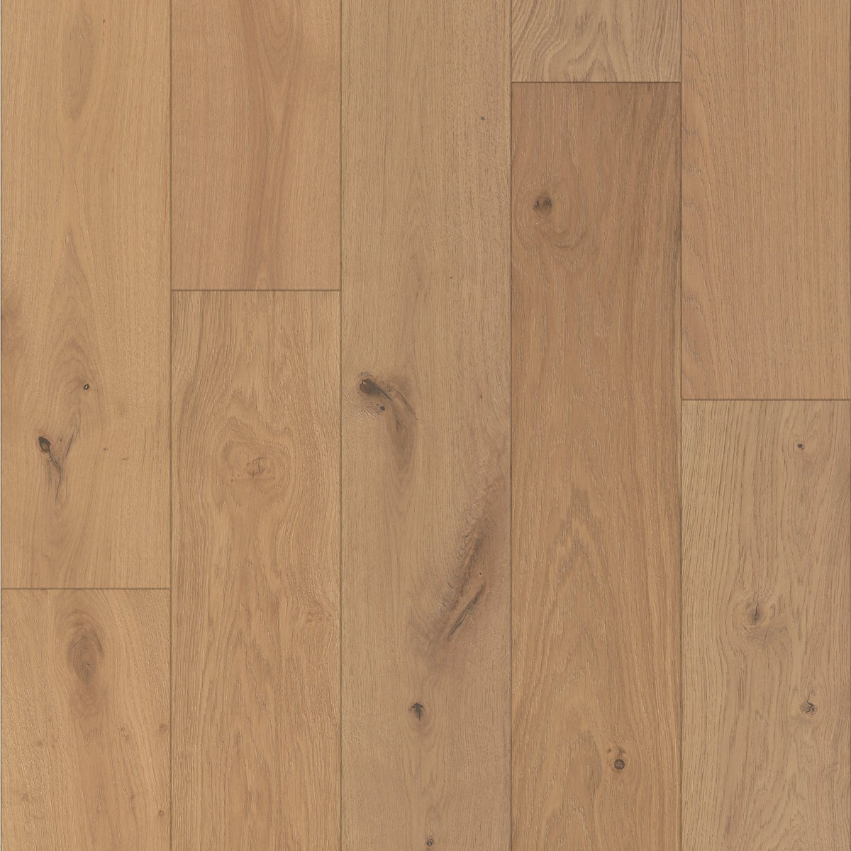 Shaw Castlewood Oak SW485-02047 Dynasty