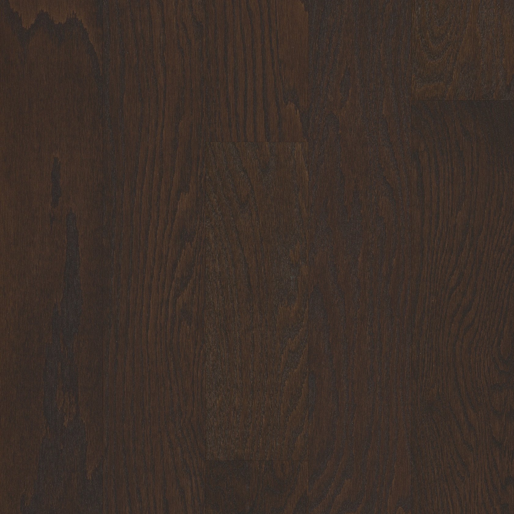 Shaw Albright Oak 5" SW582-07011 Chocolate