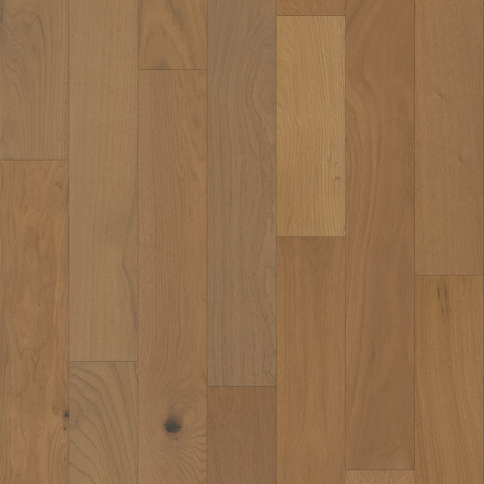 Shaw Empire Oak Plank SW583-02012 Hearst