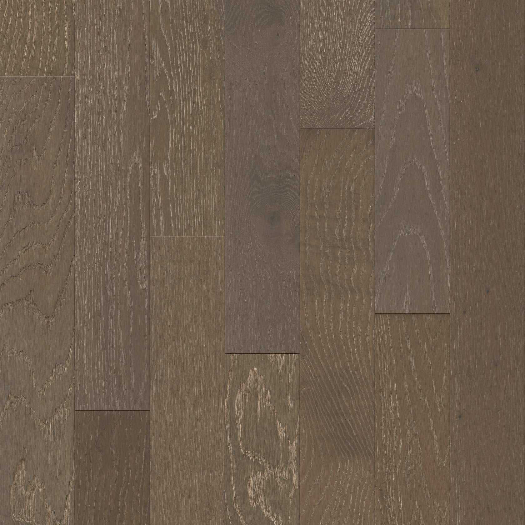 Shaw Empire Oak Plank SW583-05052 Ashlee Grey