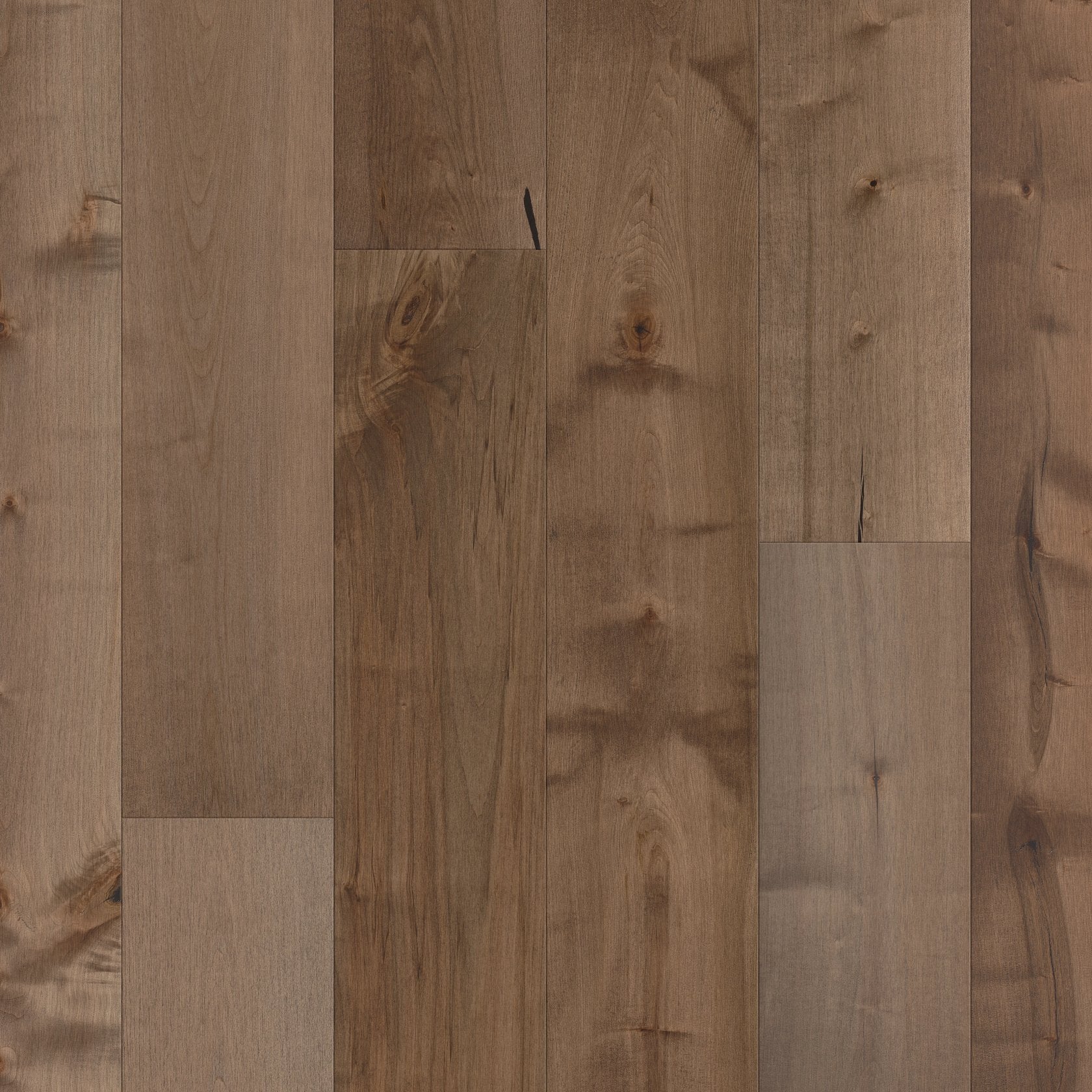 Shaw Reflections Maple SW660-02024 Vista