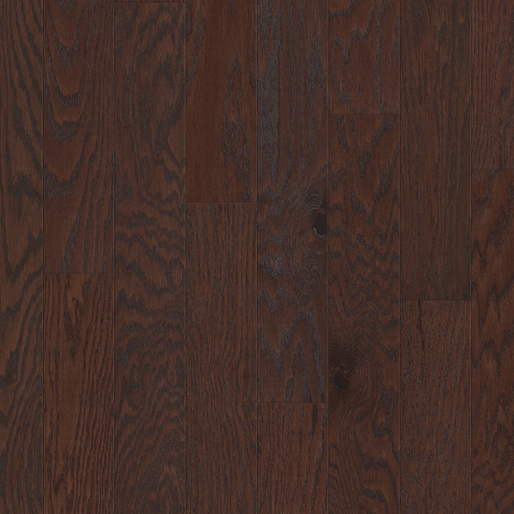 Shaw Timeless Oak 5" SW695-00958 Coffee Bean