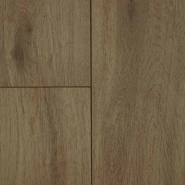 audacity elegance sherwood 5011768