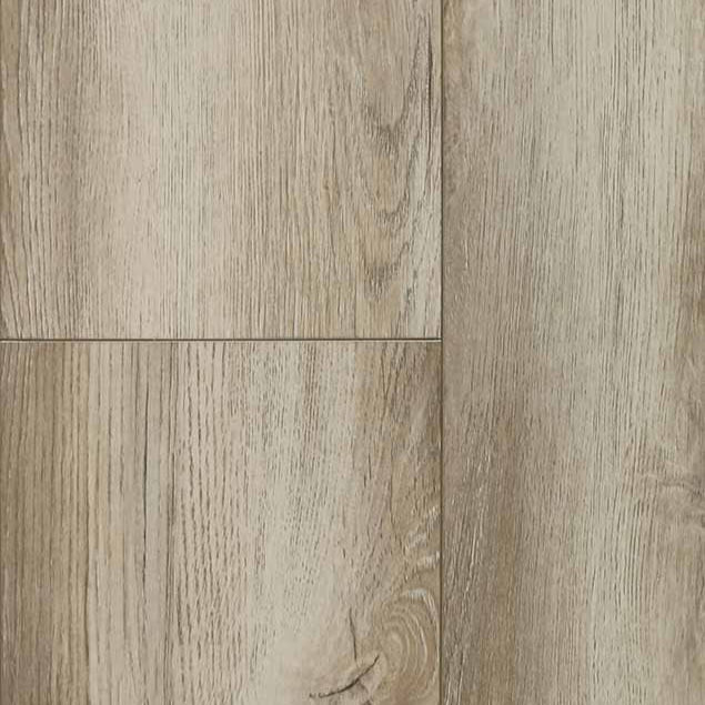 audacity elegance bruges 5011790