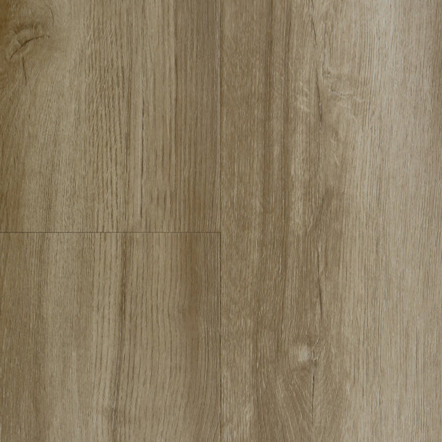 audacity elegance bordeaux 5011791
