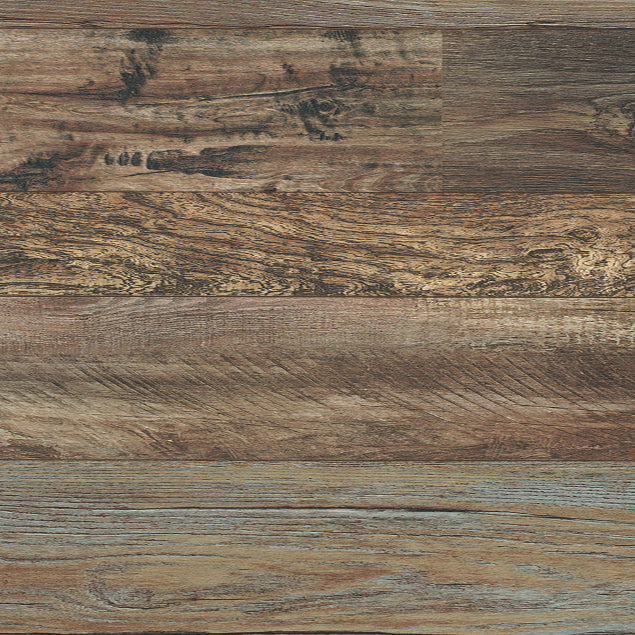 audacity monticello synergy 5012820