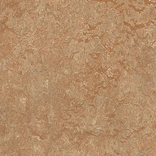 Forbo Marmoleum Real 3233 Shitake Linoleum Sheet Flooring