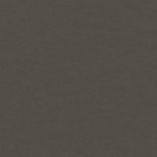Forbo Furniture Linoleum 4178 Iron Linoleum Sheet
