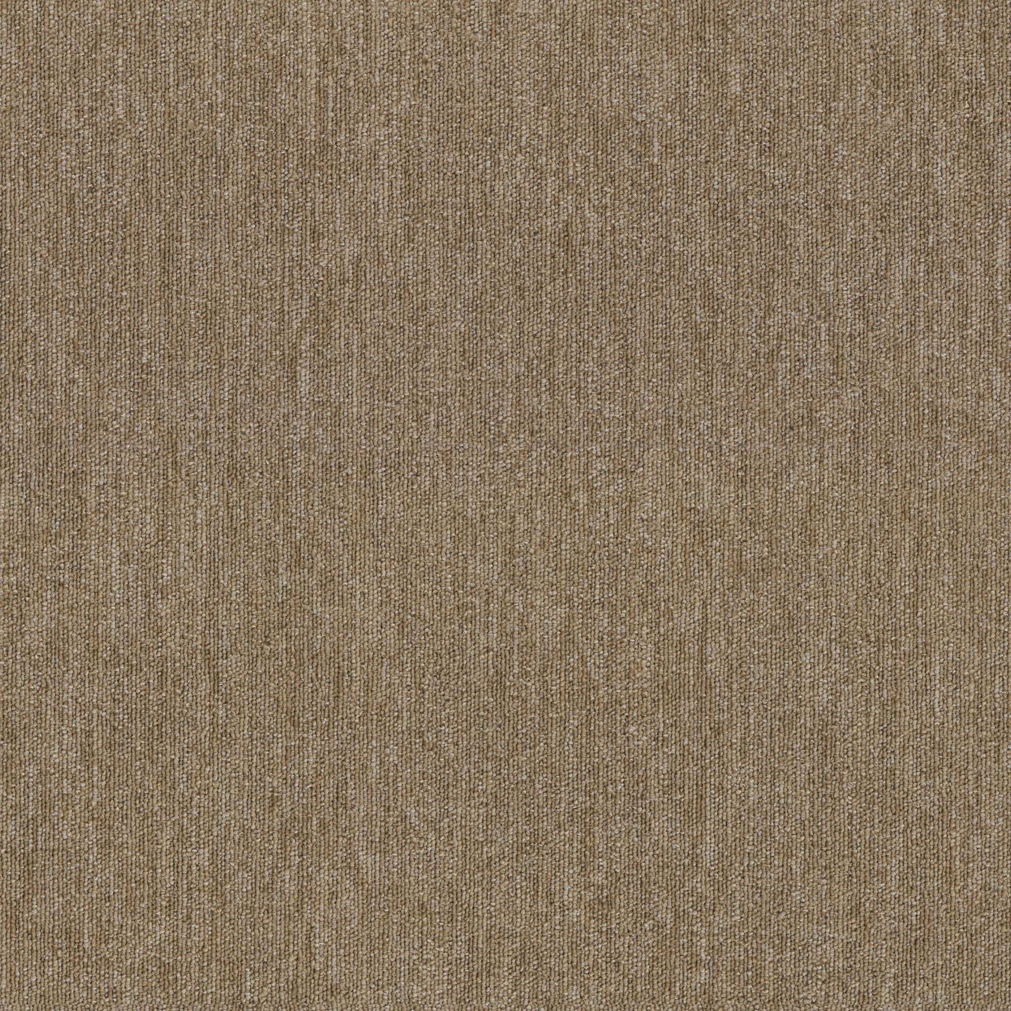Shaw Beyond Limits 5th & Main 54936-00215 Plateau Carpet Tile