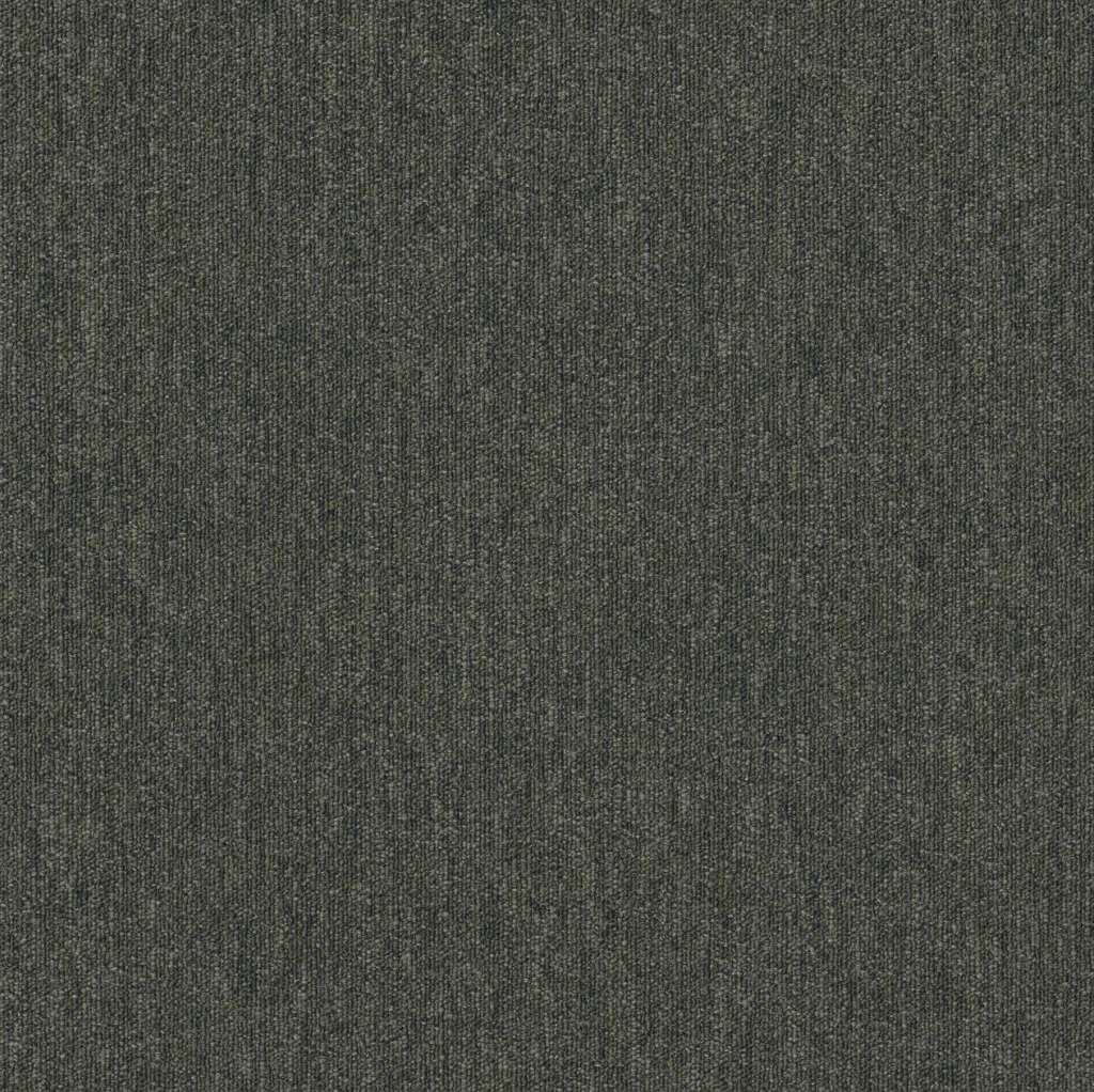 Shaw Beyond Limits 5th & Main 54936-00300 Flora 24" X 24" Carpet Tile (80 SF/Box)