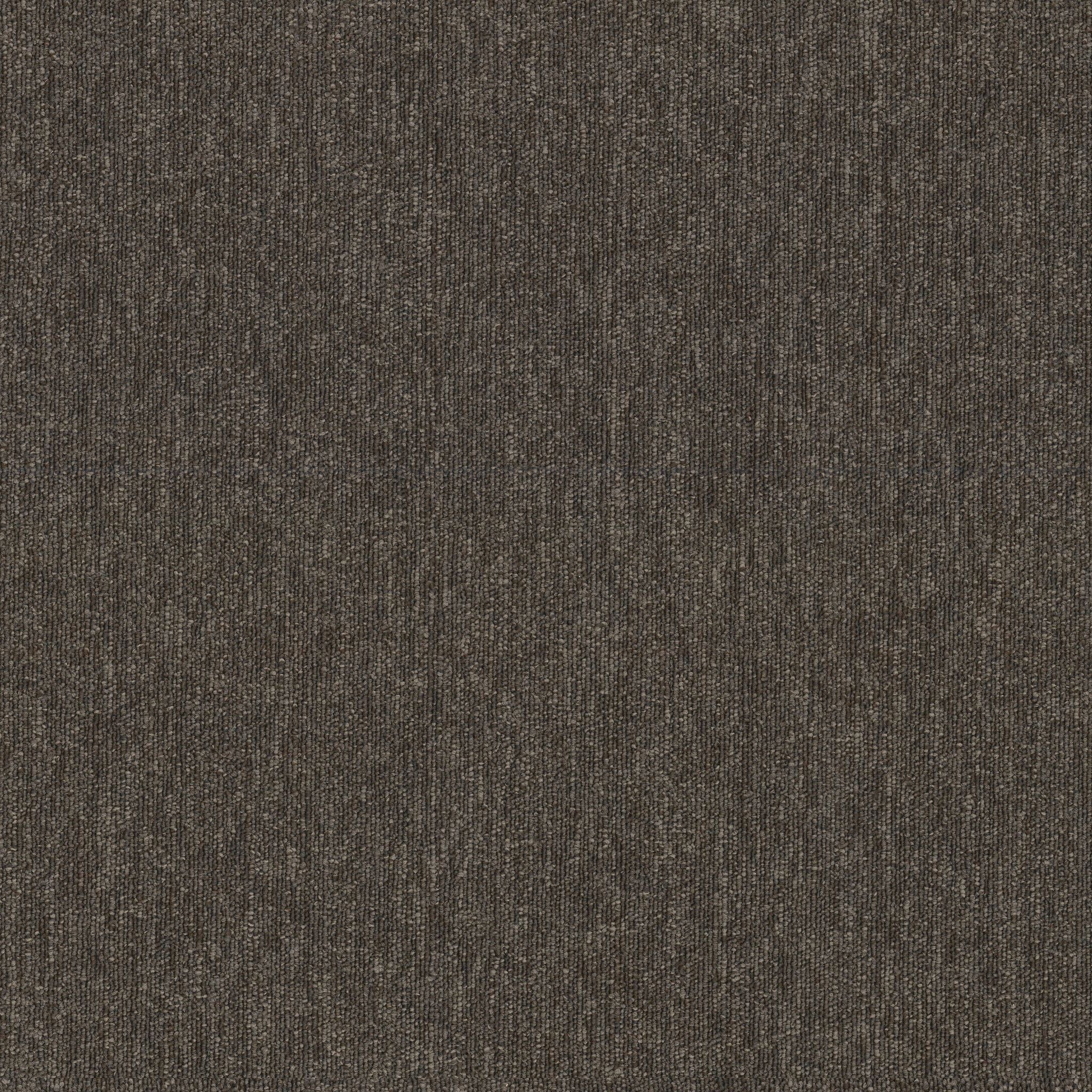 Shaw Beyond Limits 5th & Main 54936-00715 Elevation Carpet Tile