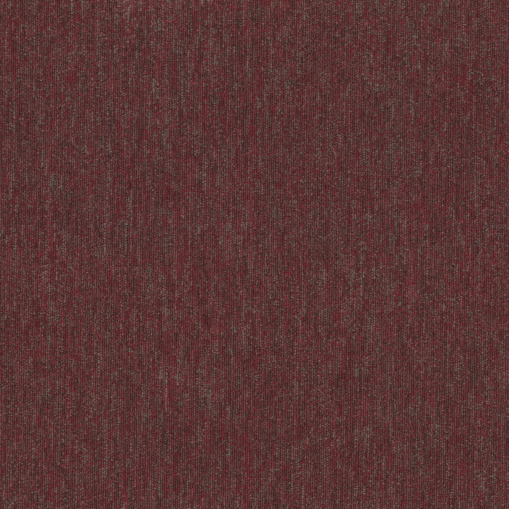 Shaw Beyond Limits 5th & Main 54936-00800 Region Carpet Tile