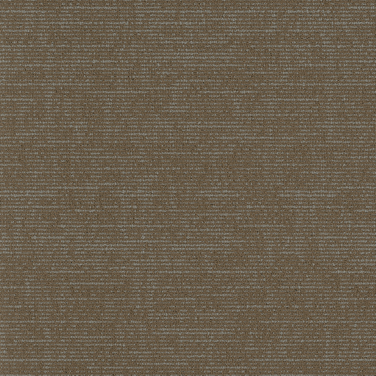Pentz Carpet Formation 7033T-1880 Order 24" X 24"