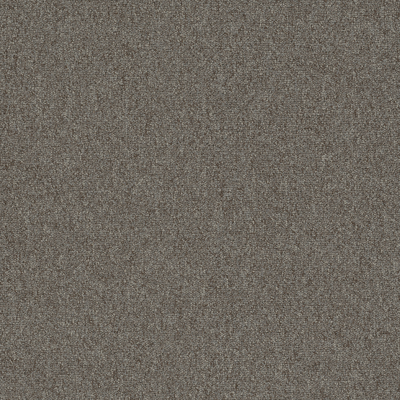 Pentz Carpet Diversified Tile 7037T-2042 Discrete 24" X 24"